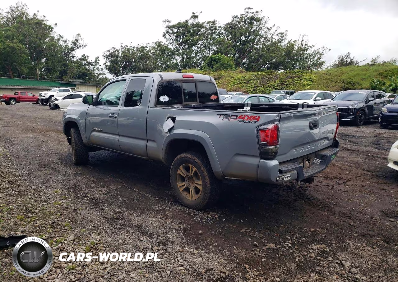 2019 Toyota Tacoma VIN:5TFSZ5AN8KX165617 - 2