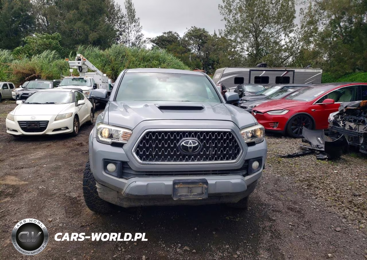2019 Toyota Tacoma VIN:5TFSZ5AN8KX165617 - 5