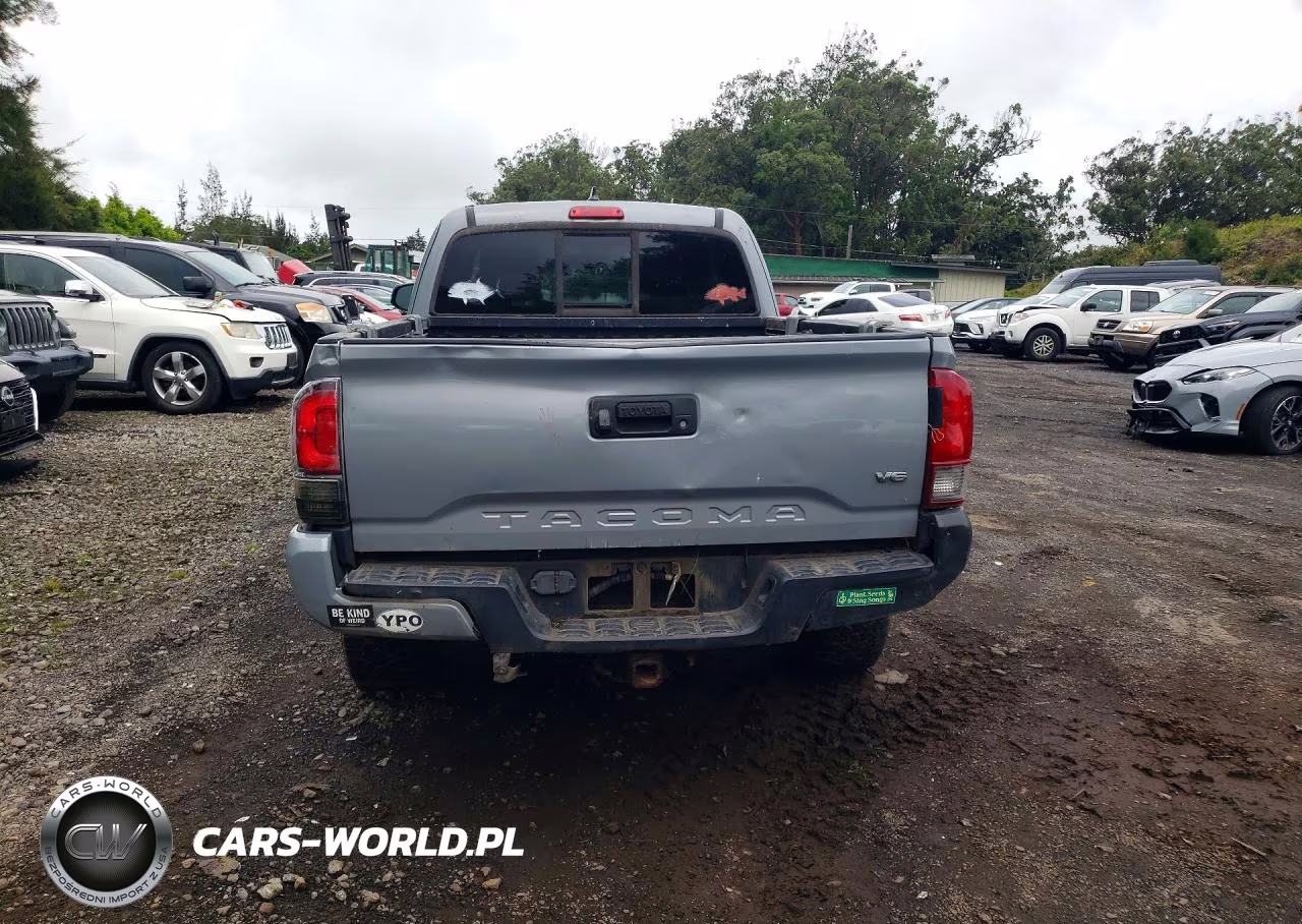 2019 Toyota Tacoma VIN:5TFSZ5AN8KX165617 - 6