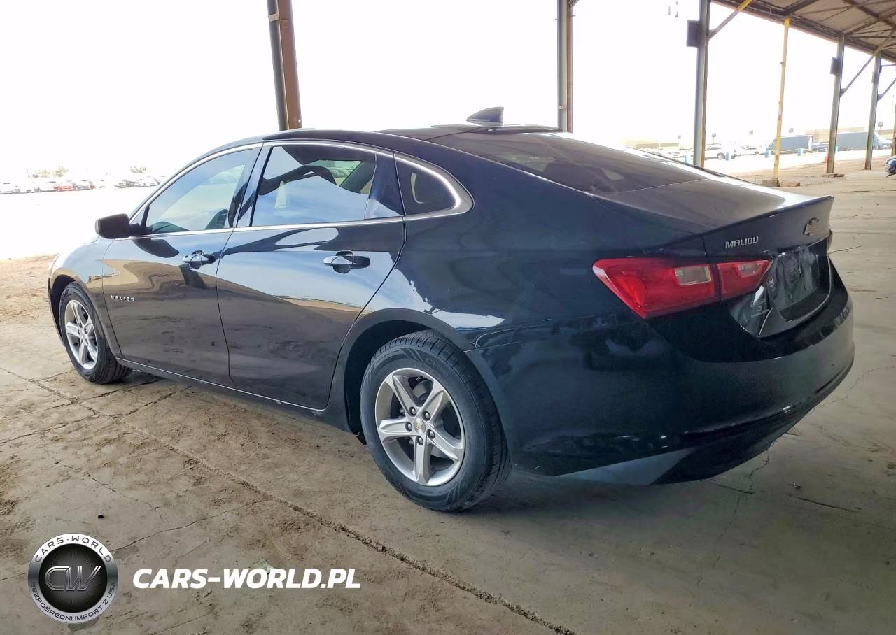 2019 Chevrolet Malibu Ls VIN:1G1ZB5ST5KF161393 - 2