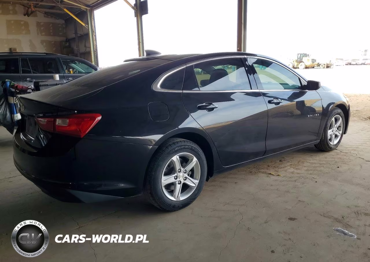 2019 Chevrolet Malibu Ls VIN:1G1ZB5ST5KF161393 - 3