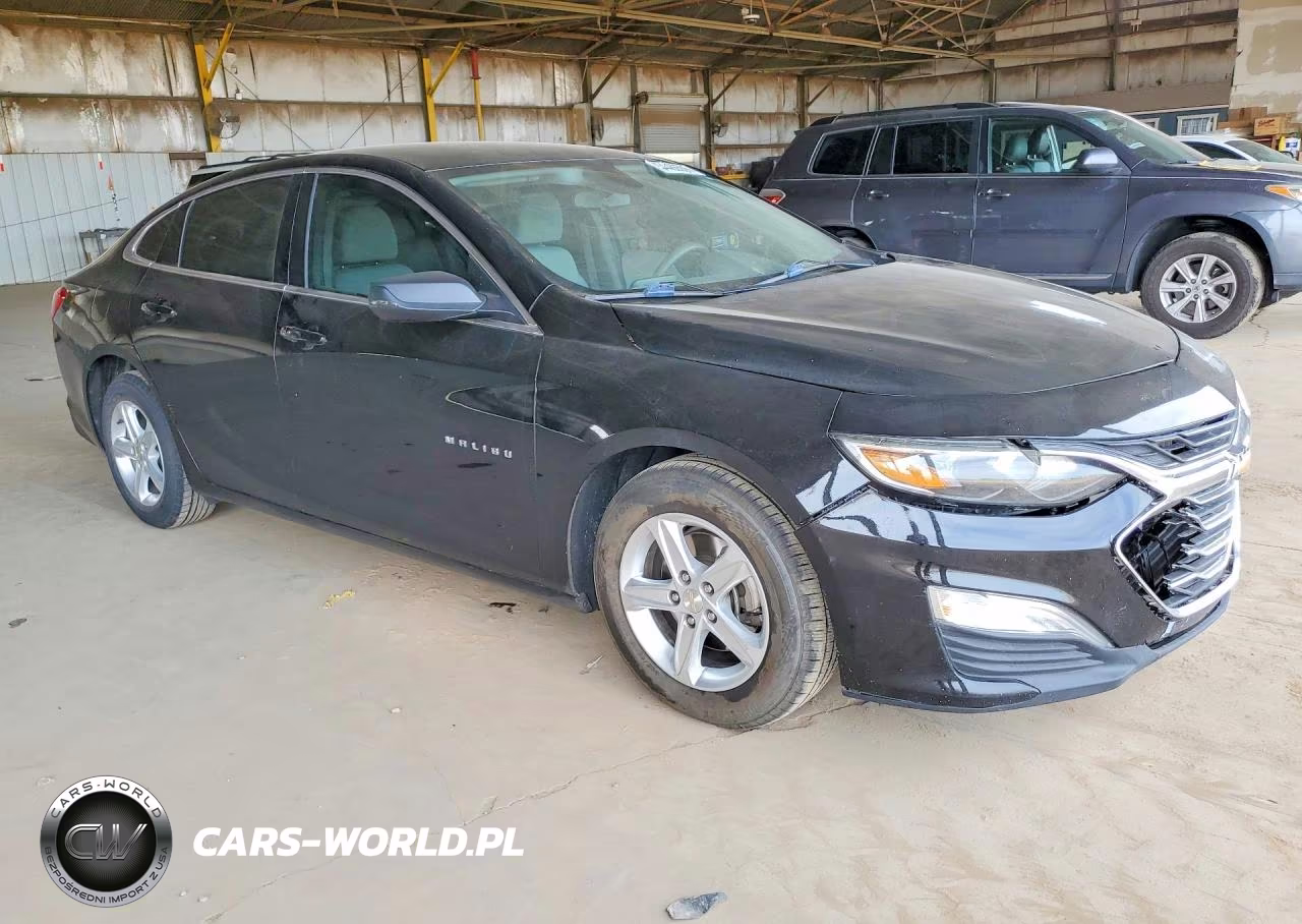 2019 Chevrolet Malibu Ls VIN:1G1ZB5ST5KF161393 - 4