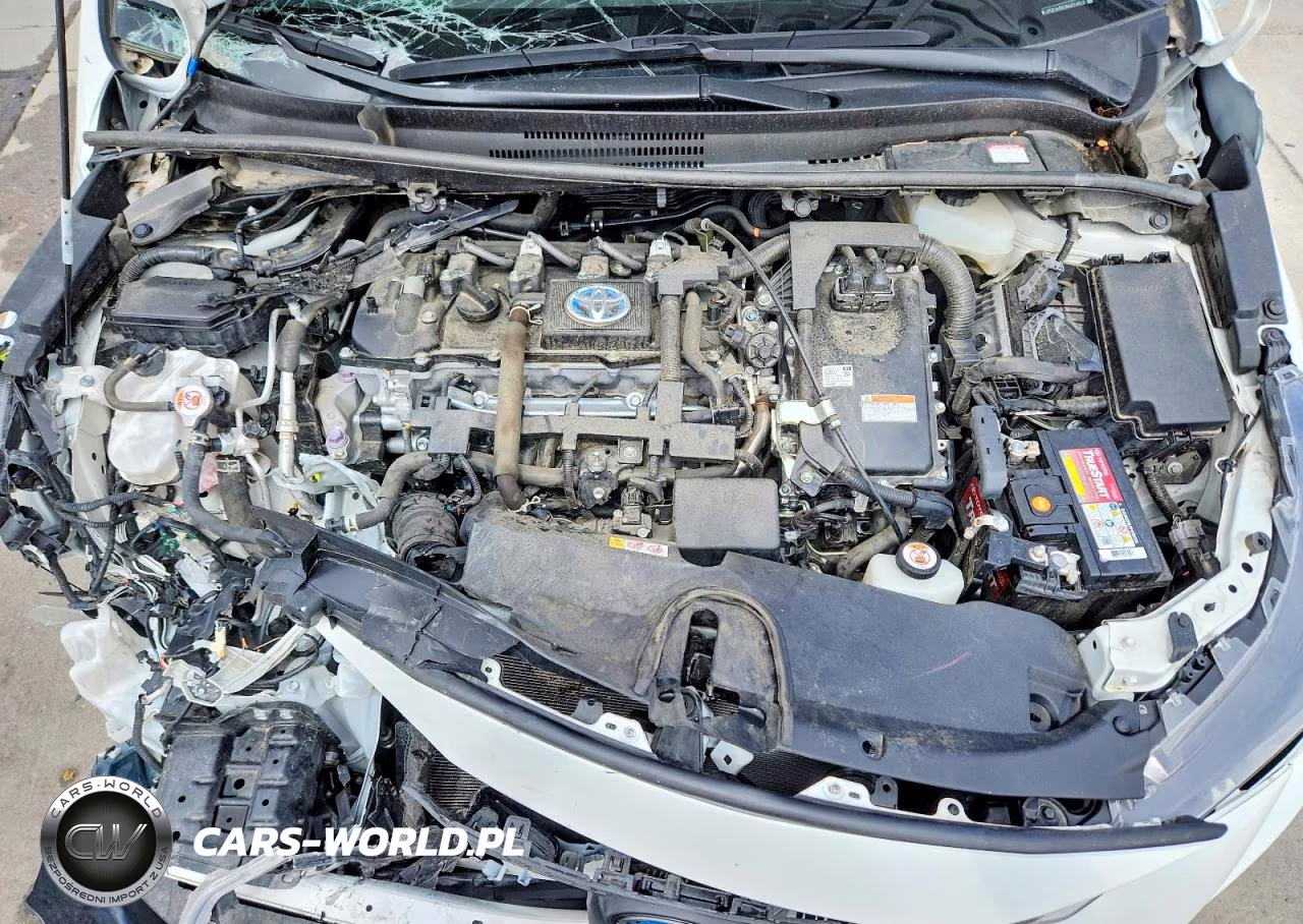 2021 Toyota Corolla Le VIN:JTDEAMDE0MJ016828 - 11