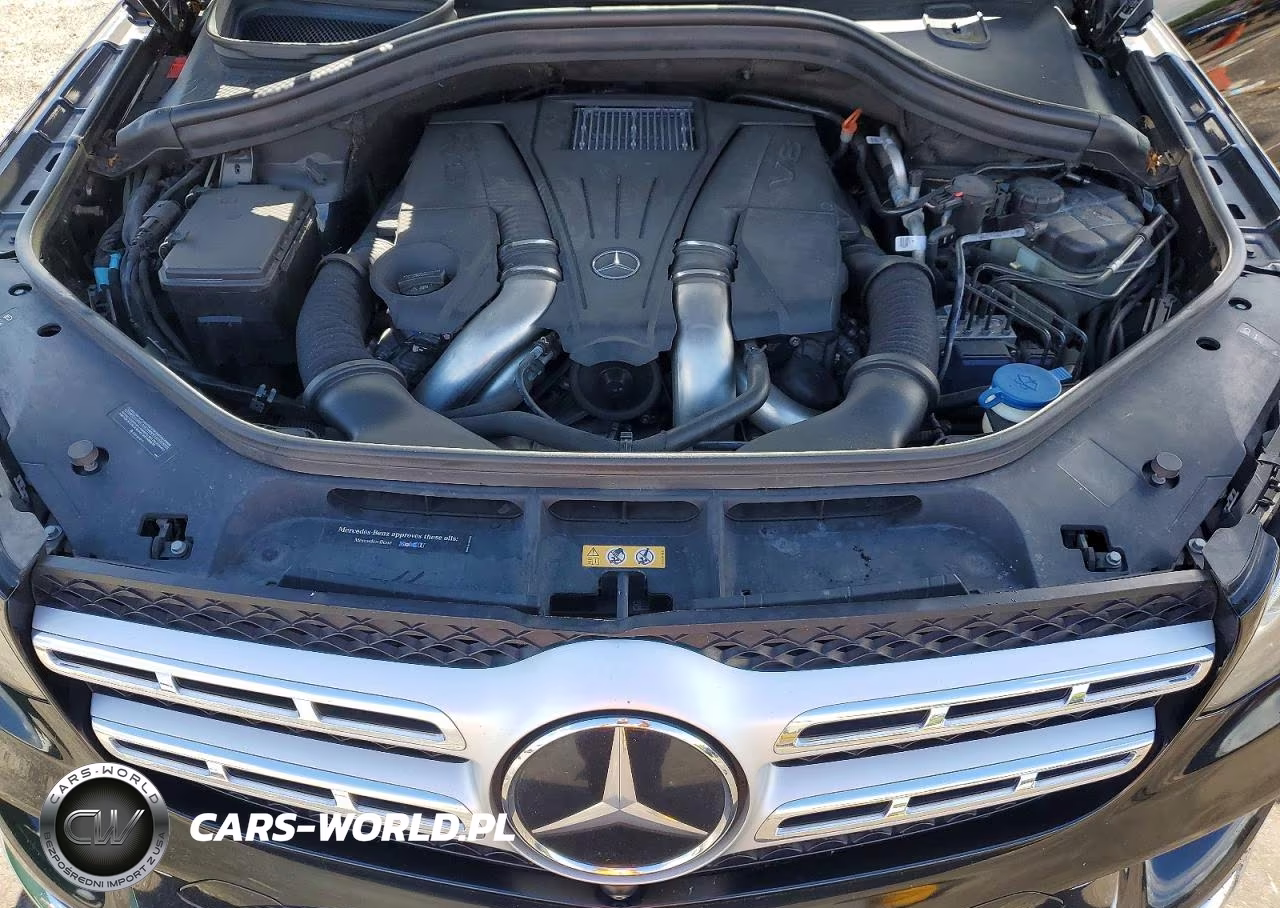 2017 Mercedes-Benz Gls Class VIN:4JGDF7DE5HA844082 - 12