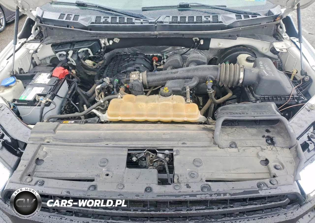 2020 Ford F150 VIN:1FTMF1CB5LKD15033 - 11