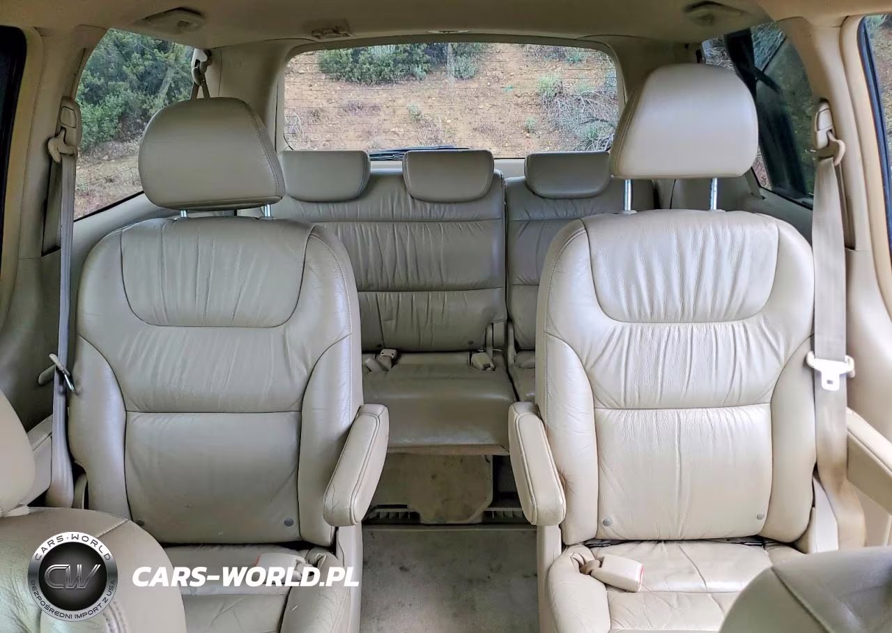 2006 Honda Odyssey Exl VIN:5FNRL38796B415023 - 10