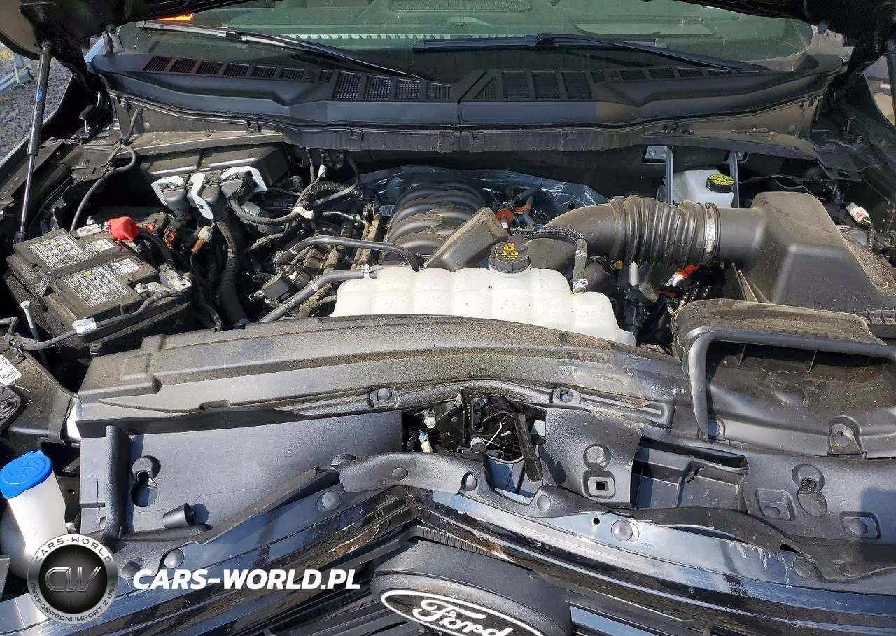 2025 Ford F150 Xlt VIN:1FTFW3L54SFC58734 - 11