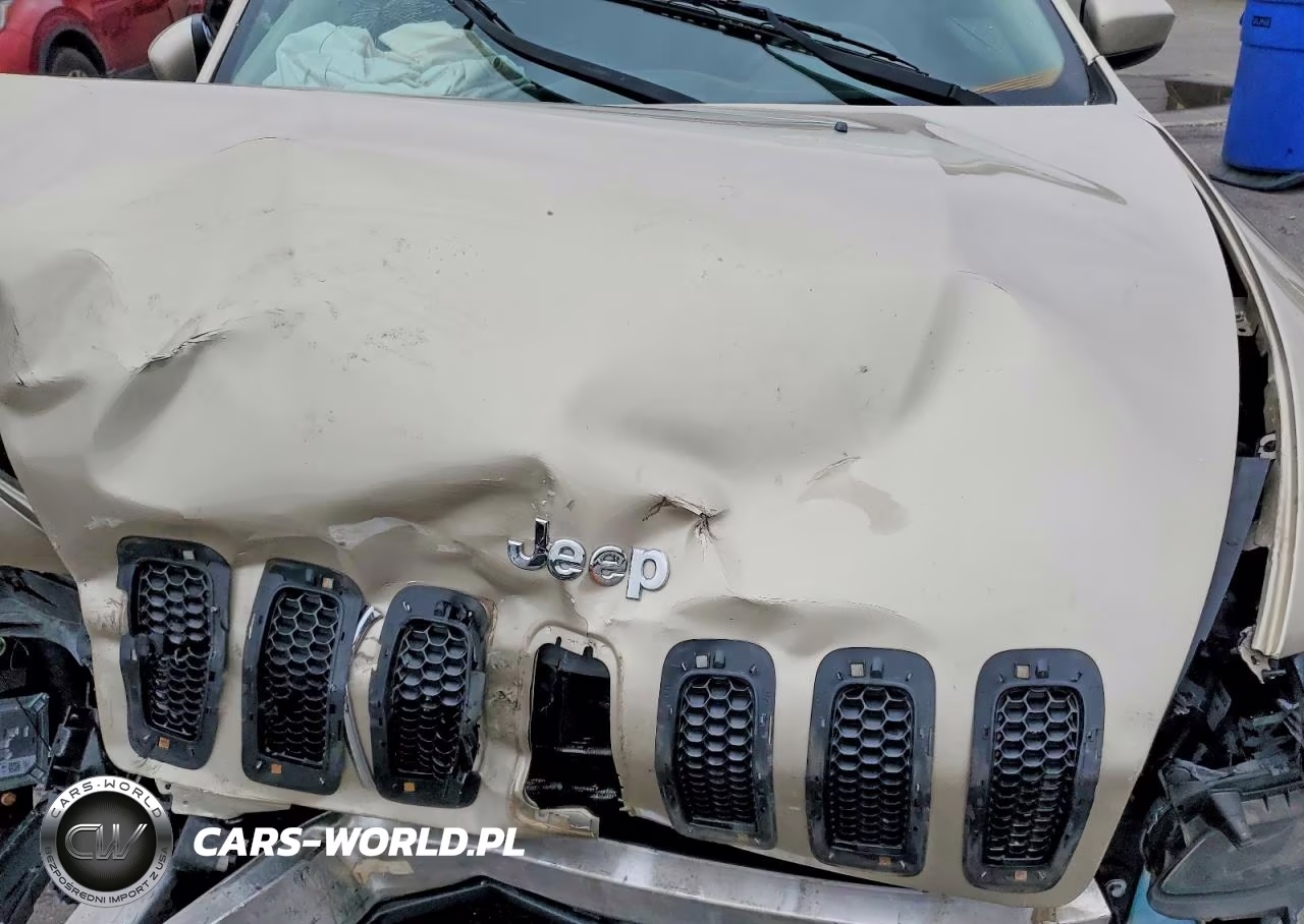 2014 Jeep Cherokee Latitude VIN:1C4PJMCS9EW219169 - 12