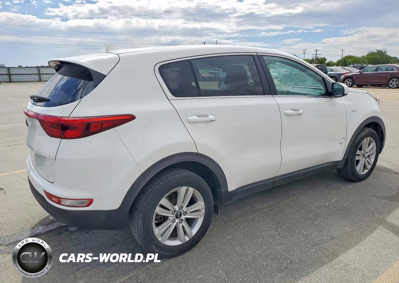 2017 Kia Sportage Lx VIN:KNDPMCAC1H7129591 - 3