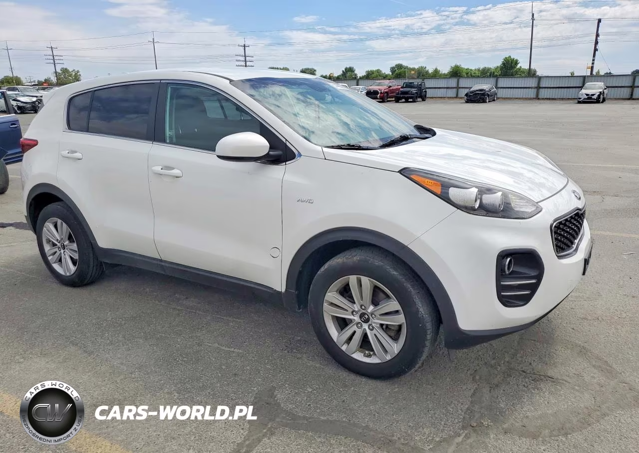2017 Kia Sportage Lx VIN:KNDPMCAC1H7129591 - 4