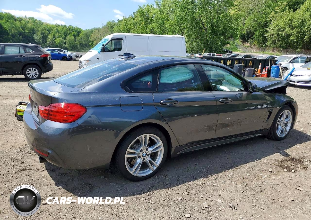 2016 BMW 435 Xi Gran Coupe VIN:WBA4B3C56GG344225 - 3