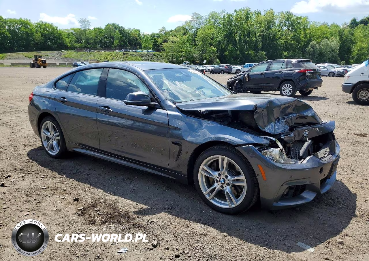 2016 BMW 435 Xi Gran Coupe VIN:WBA4B3C56GG344225 - 4
