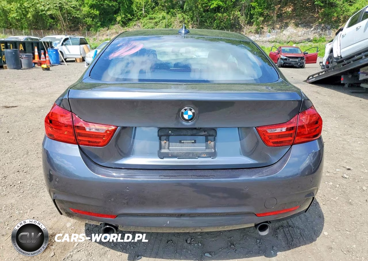 2016 BMW 435 Xi Gran Coupe VIN:WBA4B3C56GG344225 - 6