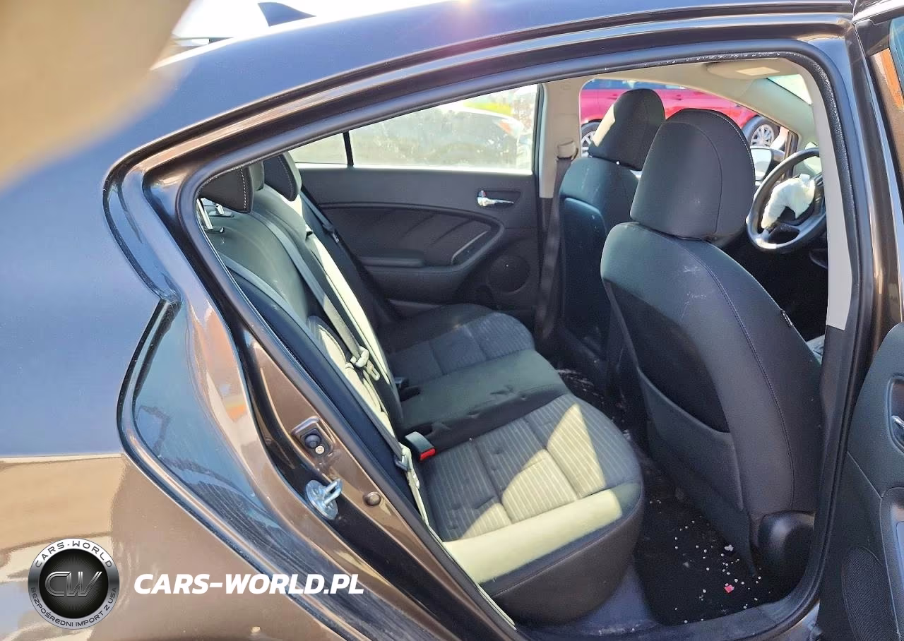 2015 Kia Forte Lx VIN:KNAFX4A61F5277829 - 10