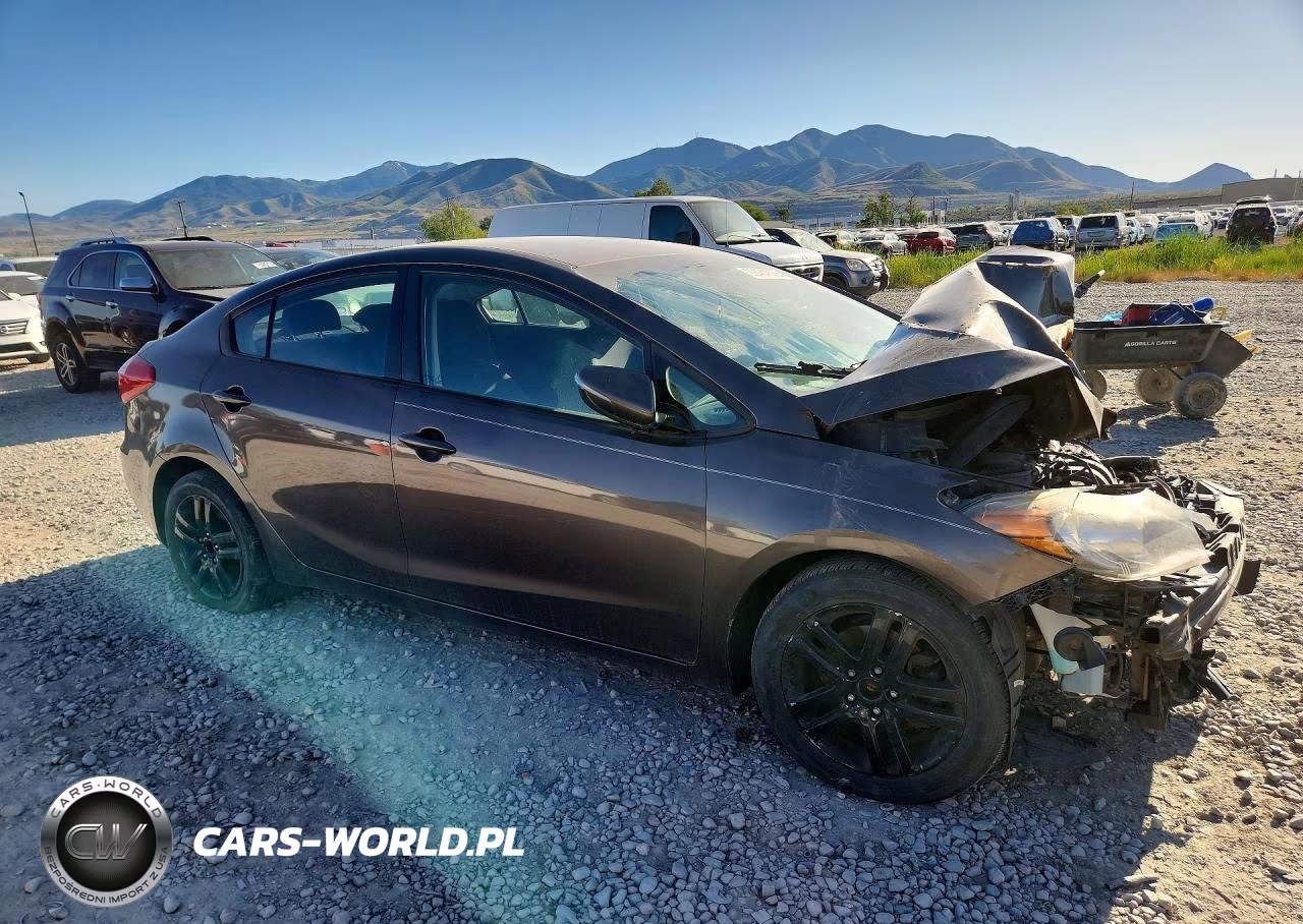 2015 Kia Forte Lx VIN:KNAFX4A61F5277829 - 4