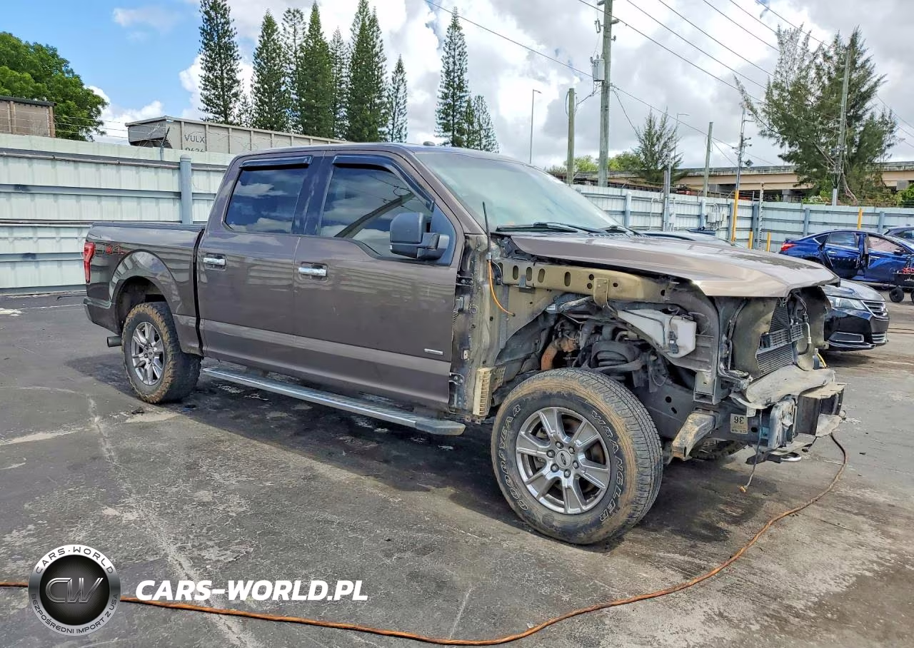 2016 Ford F150 Supercrew VIN:1FTEW1EP3GKD70521 - 4