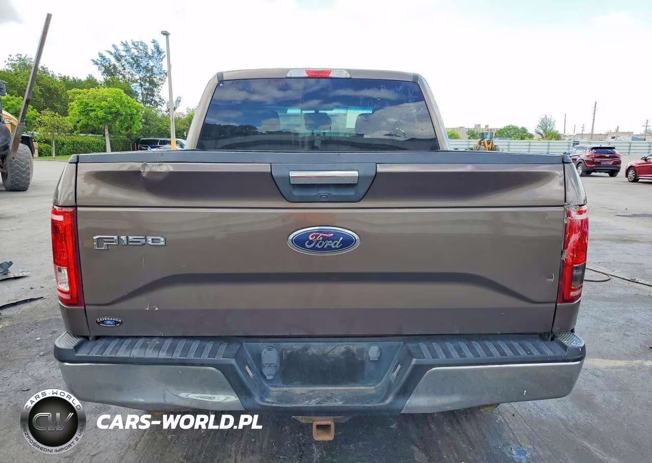 2016 Ford F150 Supercrew VIN:1FTEW1EP3GKD70521 - 6