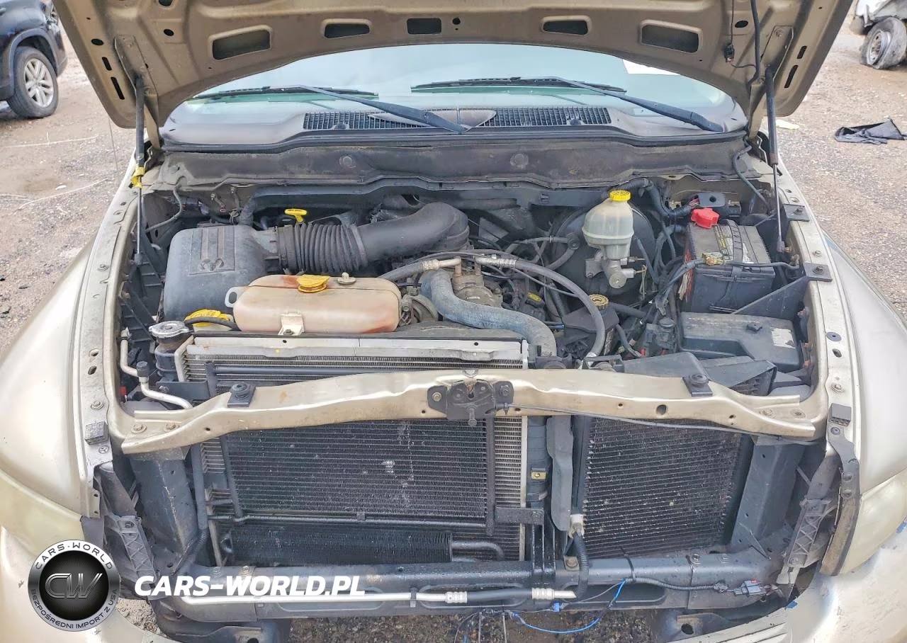DODGE RAM 1500 VIN:3D7HA18Z22G143044 - 11