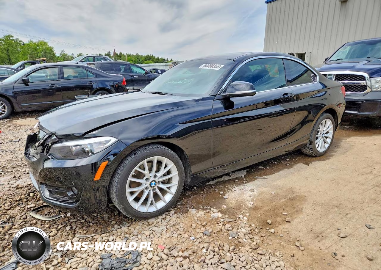 2016 BMW 228 Xi Sulev