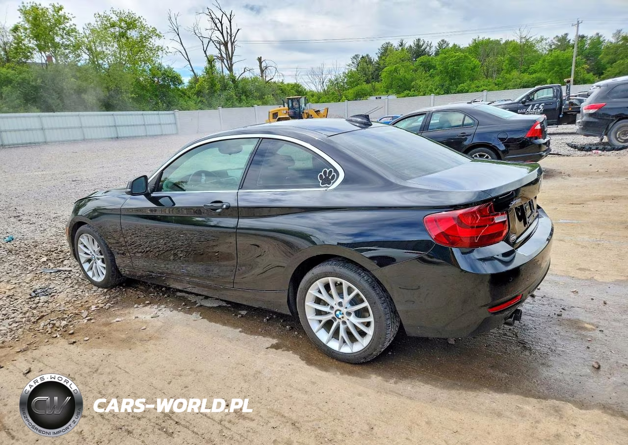 2016 BMW 228 Xi Sulev VIN:WBA1G9C54GV726580 - 2