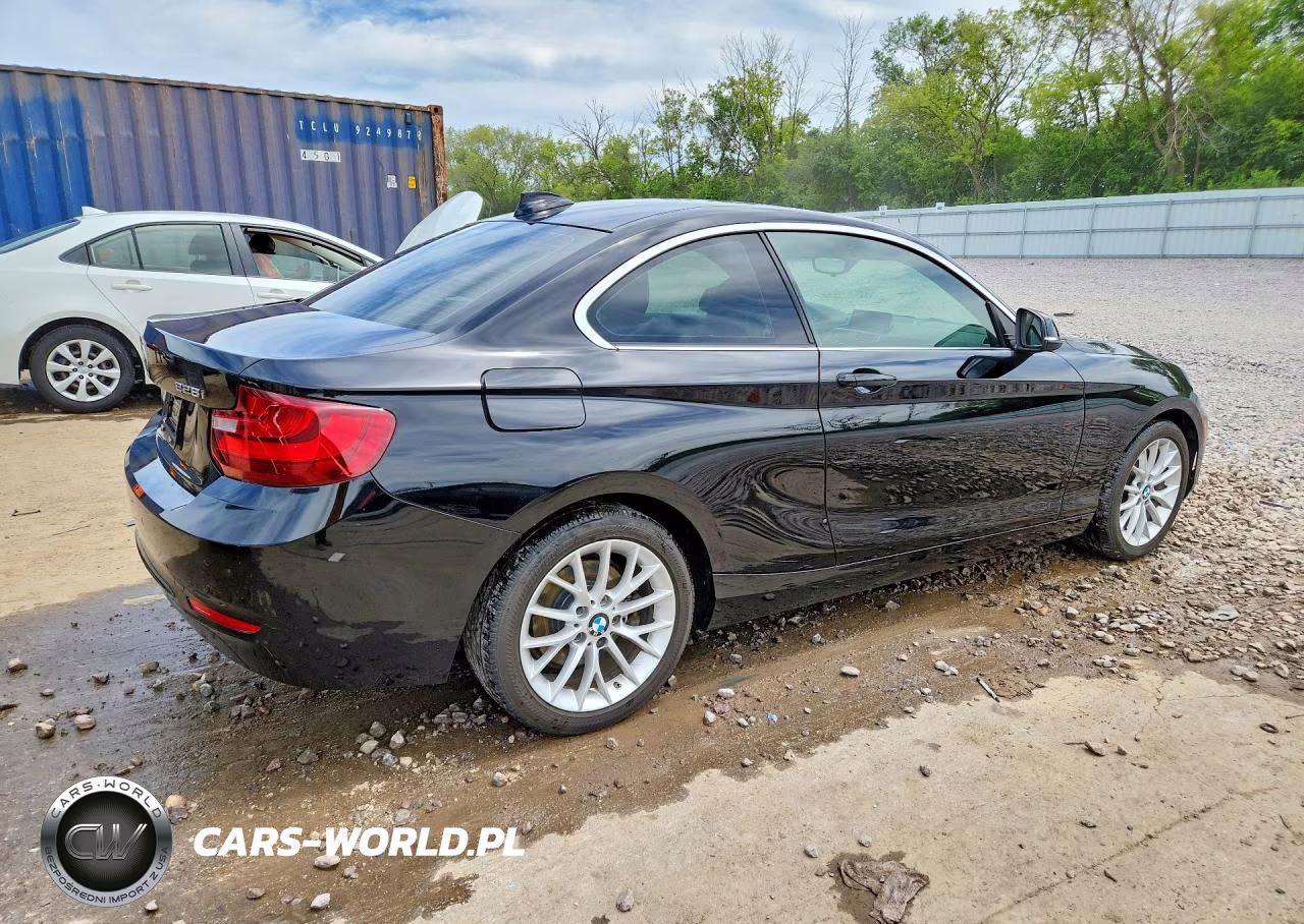2016 BMW 228 Xi Sulev VIN:WBA1G9C54GV726580 - 3