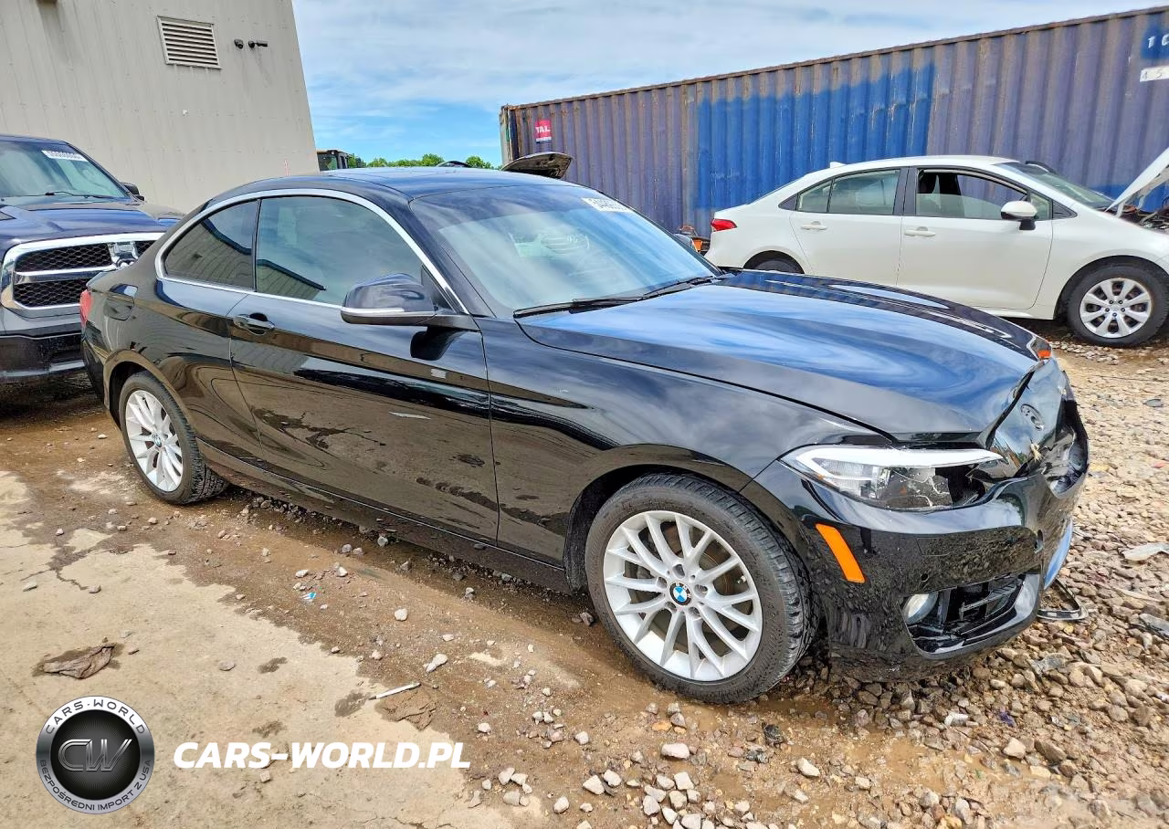 2016 BMW 228 Xi Sulev VIN:WBA1G9C54GV726580 - 4