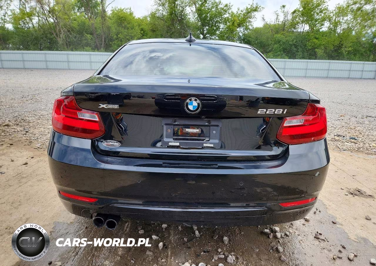 2016 BMW 228 Xi Sulev VIN:WBA1G9C54GV726580 - 6