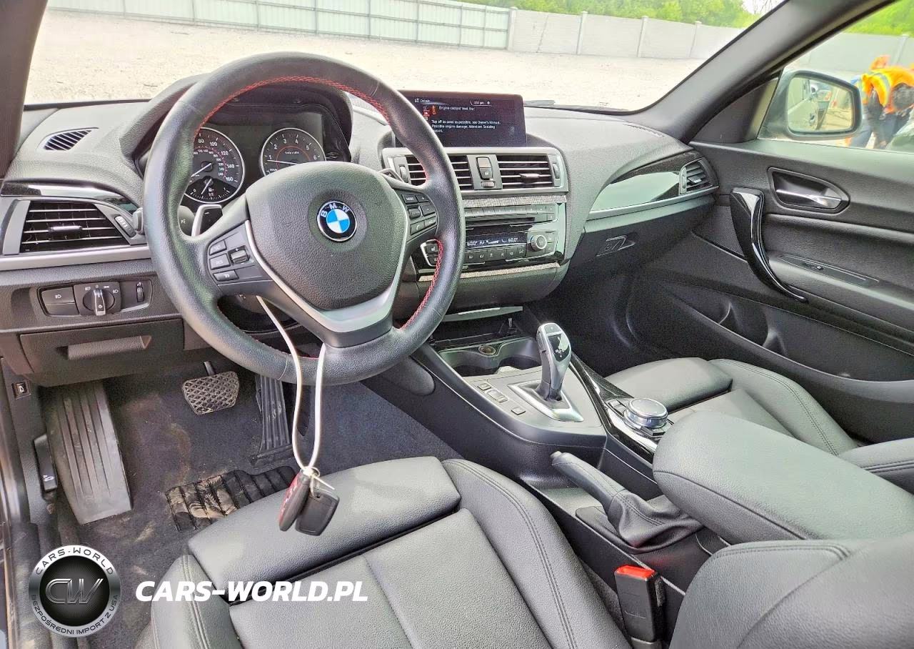 2016 BMW 228 Xi Sulev VIN:WBA1G9C54GV726580 - 8
