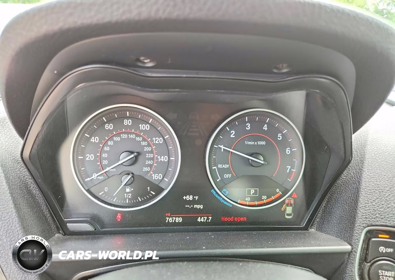 2016 BMW 228 Xi Sulev VIN:WBA1G9C54GV726580 - 9