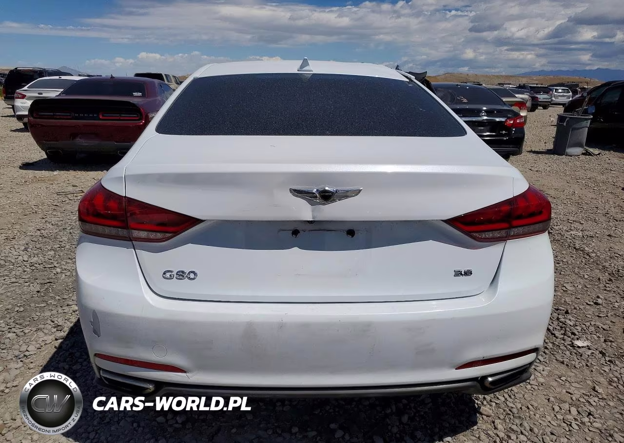 2017 Genesis G80 3.8 VIN:KMHGN4JE1HU191106 - 6