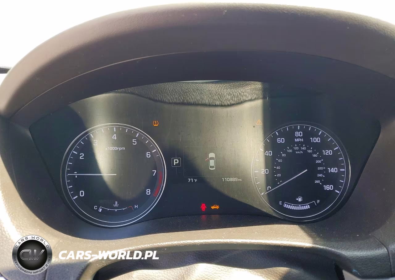 2017 Genesis G80 3.8 VIN:KMHGN4JE1HU191106 - 9