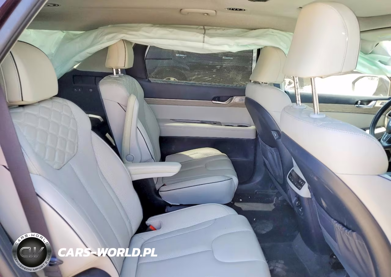 2021 Hyundai Palisade Limited VIN:KM8R5DHE0MU220782 - 10