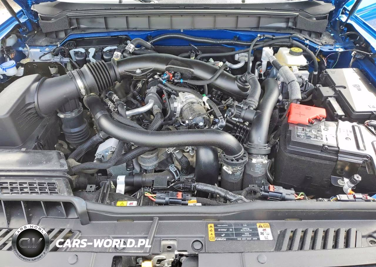 2024 Ford Bronco Raptor VIN:1FMEE0RR0RLA17817 - 12