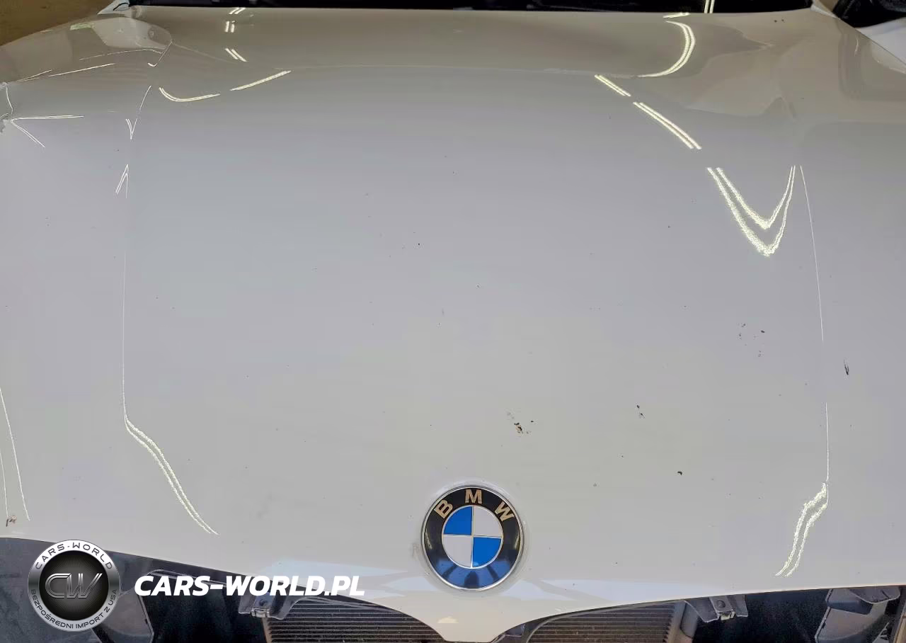 2017 BMW X6 xDrive35I VIN:5UXKU2C39H0U30165 - 12