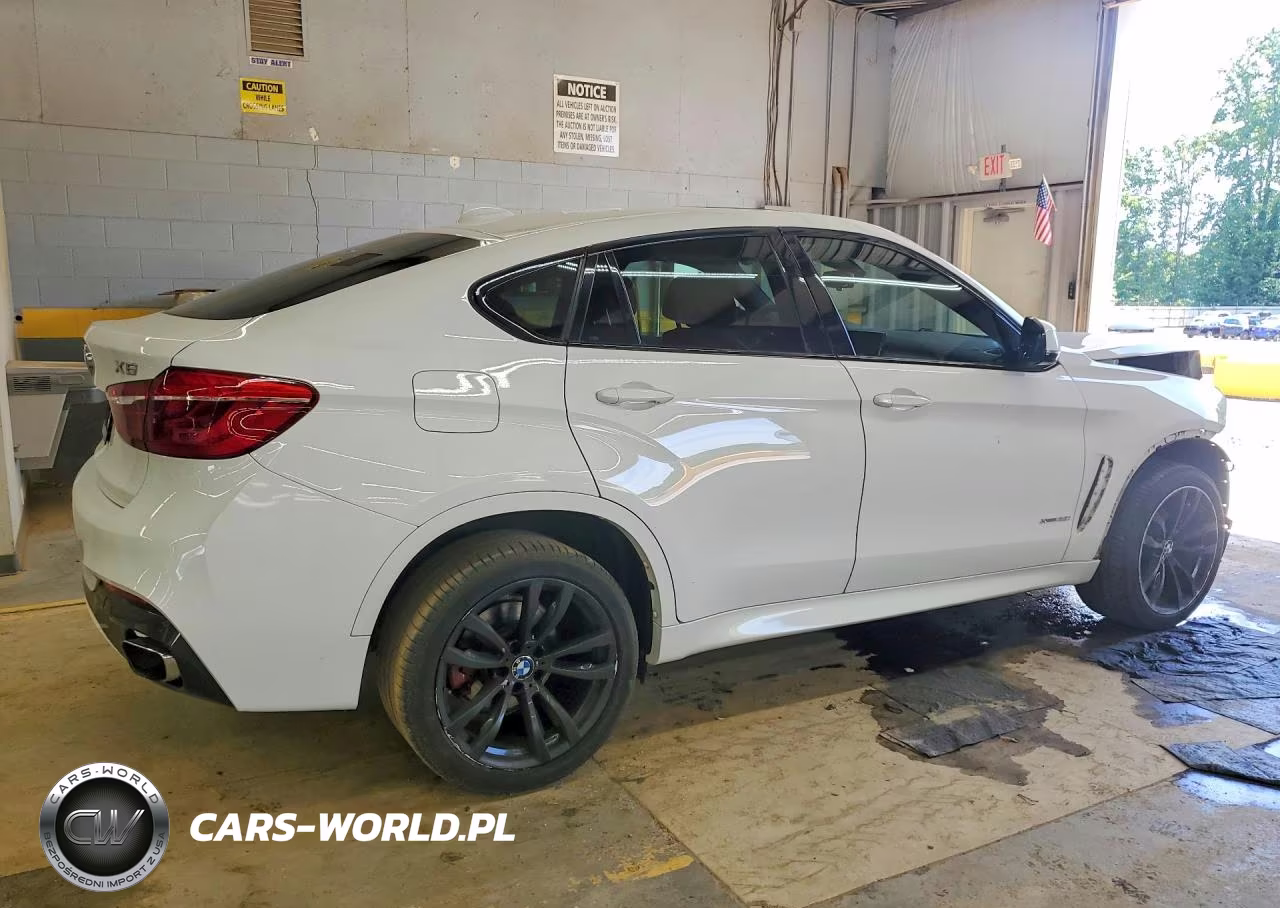 2017 BMW X6 xDrive35I VIN:5UXKU2C39H0U30165 - 3