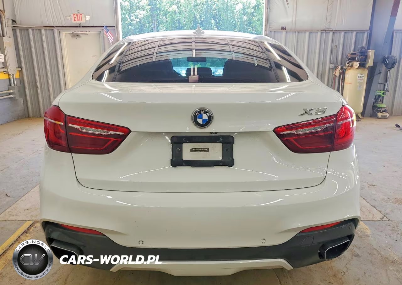 2017 BMW X6 xDrive35I VIN:5UXKU2C39H0U30165 - 6