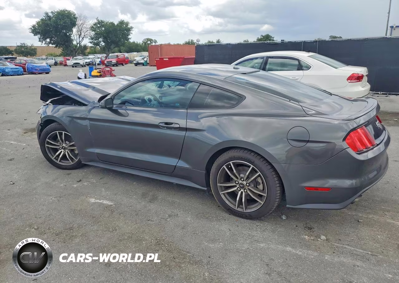 2017 Ford Mustang VIN:1FA6P8TH7H5202229 - 2