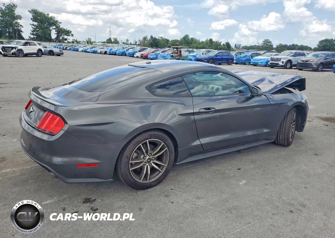 2017 Ford Mustang VIN:1FA6P8TH7H5202229 - 3