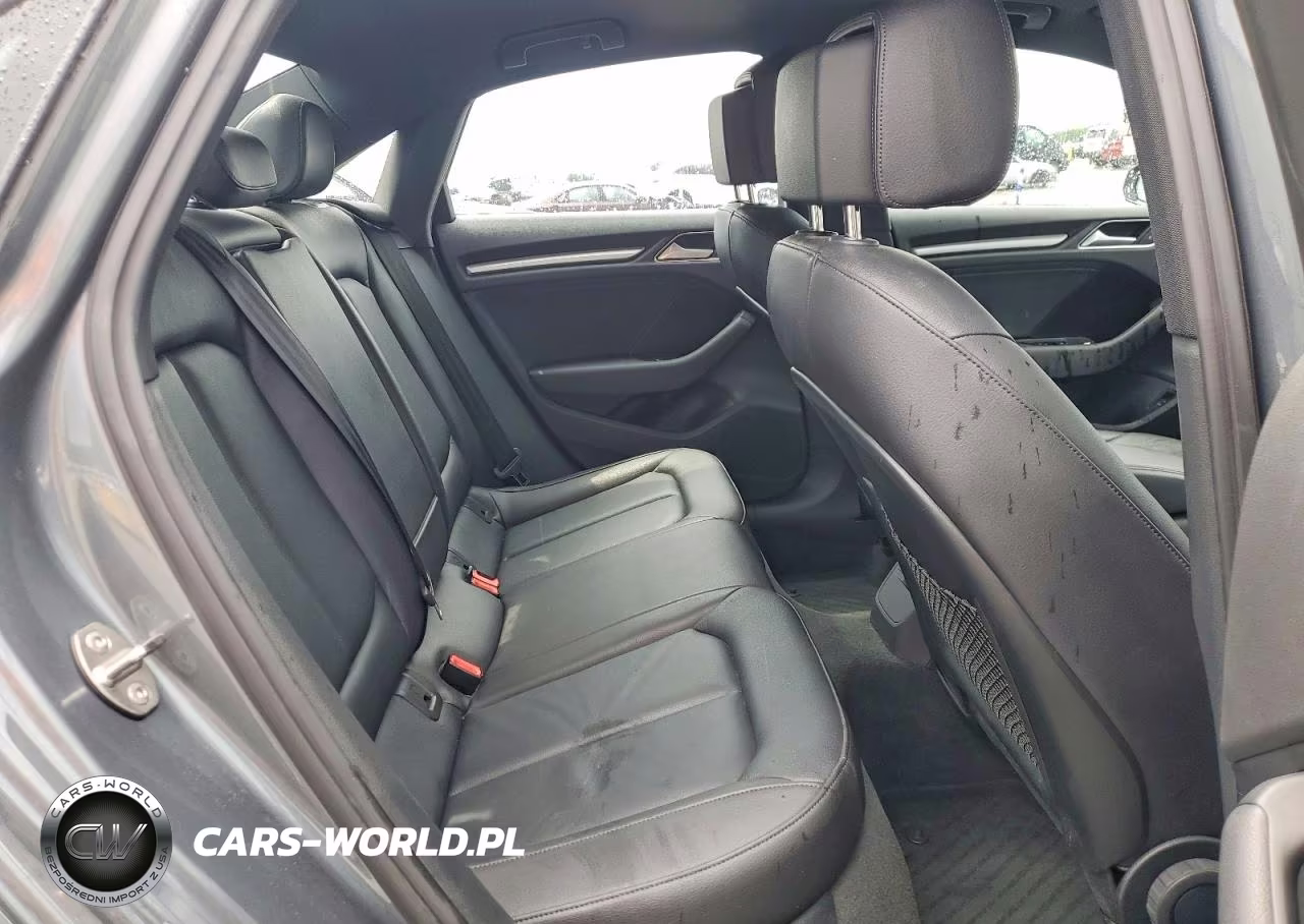 2017 Audi A3 Premium VIN:WAUB8GFF4H1065488 - 10