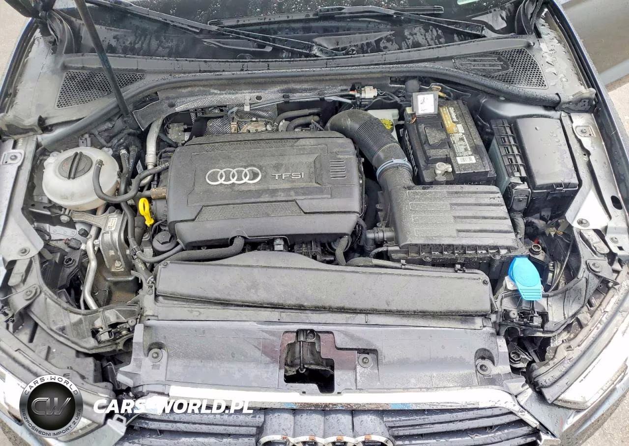 2017 Audi A3 Premium VIN:WAUB8GFF4H1065488 - 11