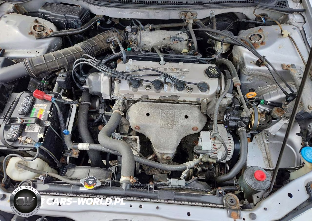 2002 Honda Accord Se VIN:1HGCG56762A019256 - 11