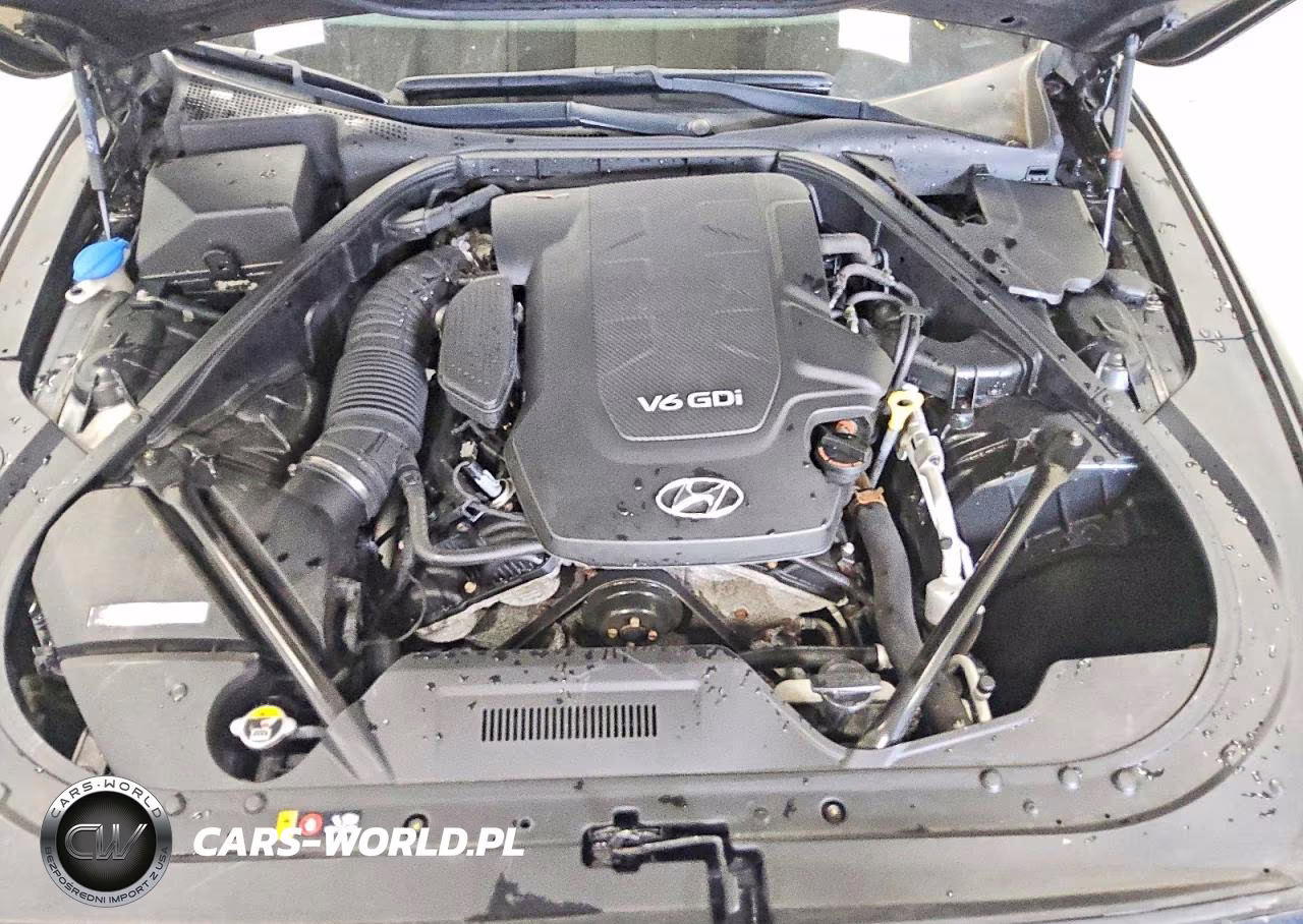 2015 Hyundai Genesis 3.8L VIN:KMHGN4JE5FU036149 - 11