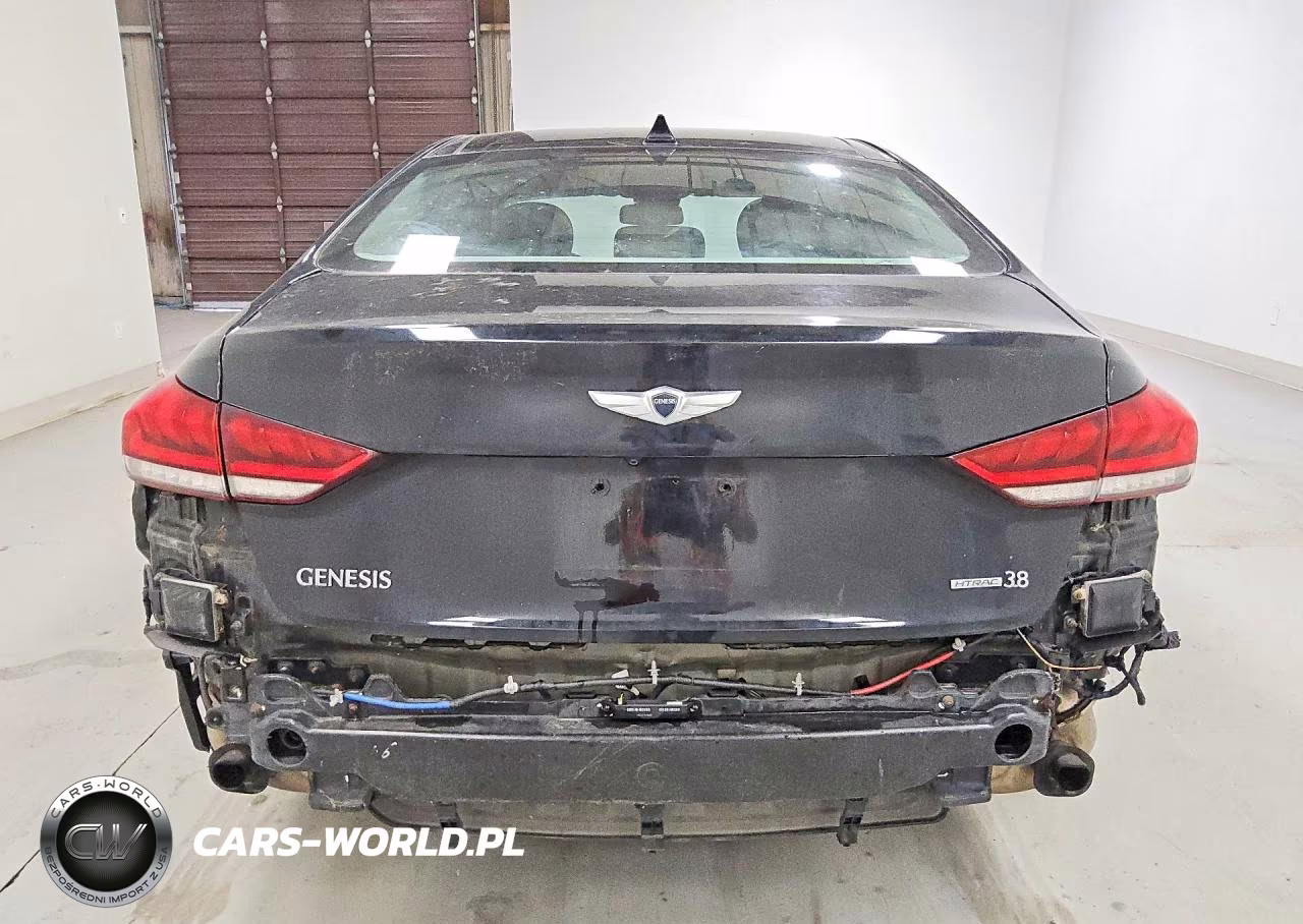 2015 Hyundai Genesis 3.8L VIN:KMHGN4JE5FU036149 - 6