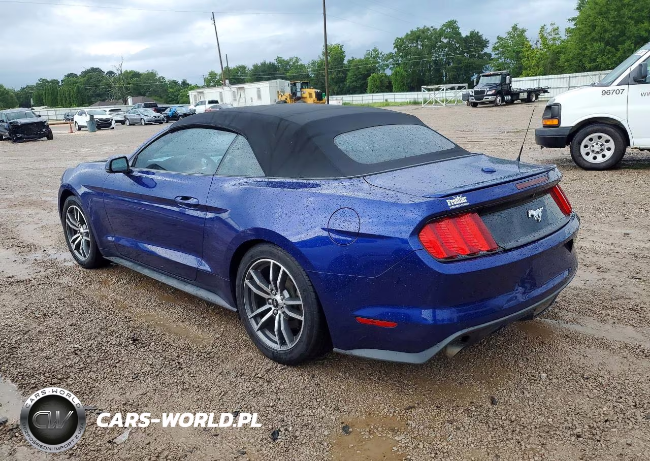 2016 Ford Mustang VIN:1FATP8UH5G5289189 - 2