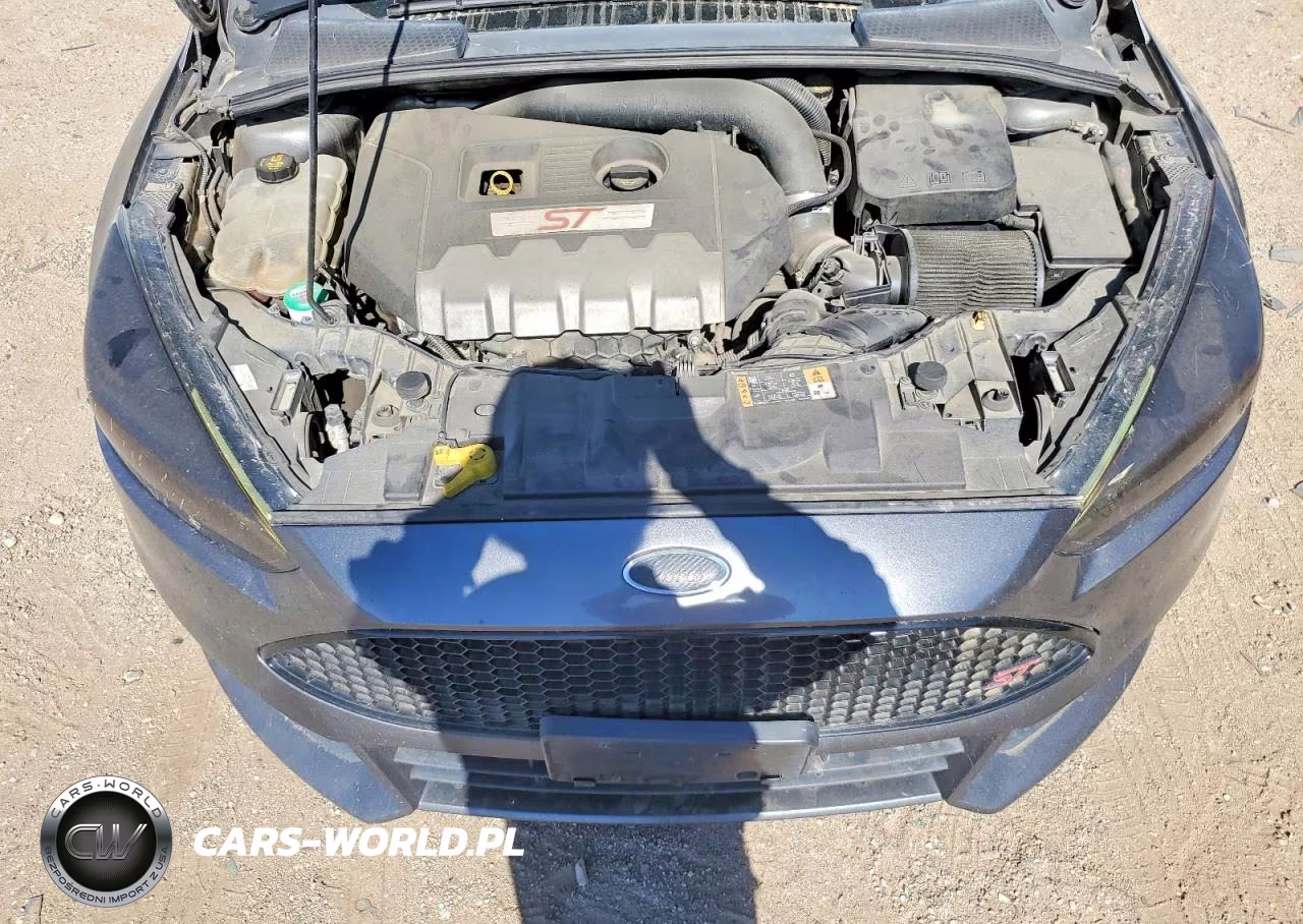 2017 Ford Focus St VIN:1FADP3L9XHL206130 - 11