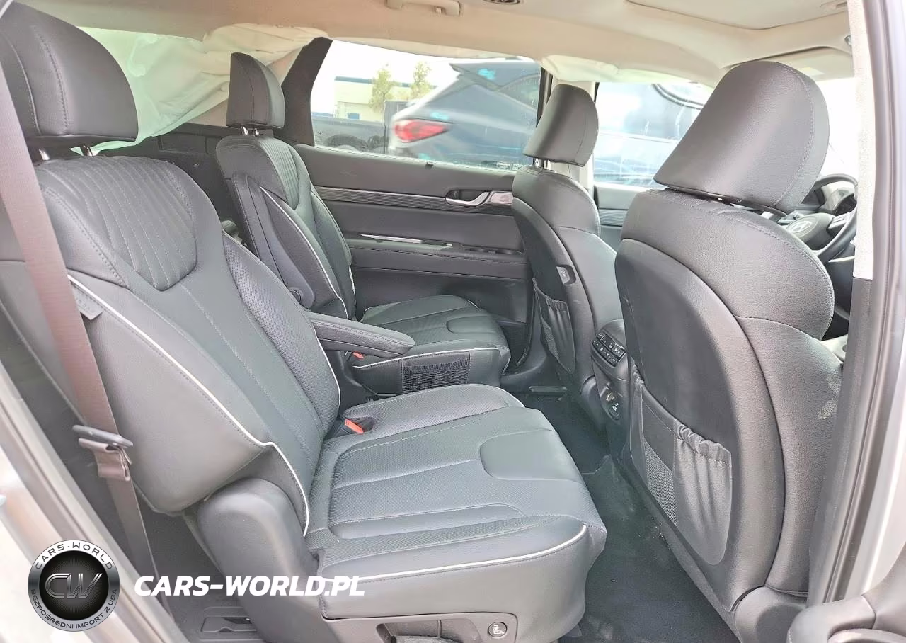 2025 Hyundai Palisade Limited VIN:KM8R5DGE1SU821486 - 11