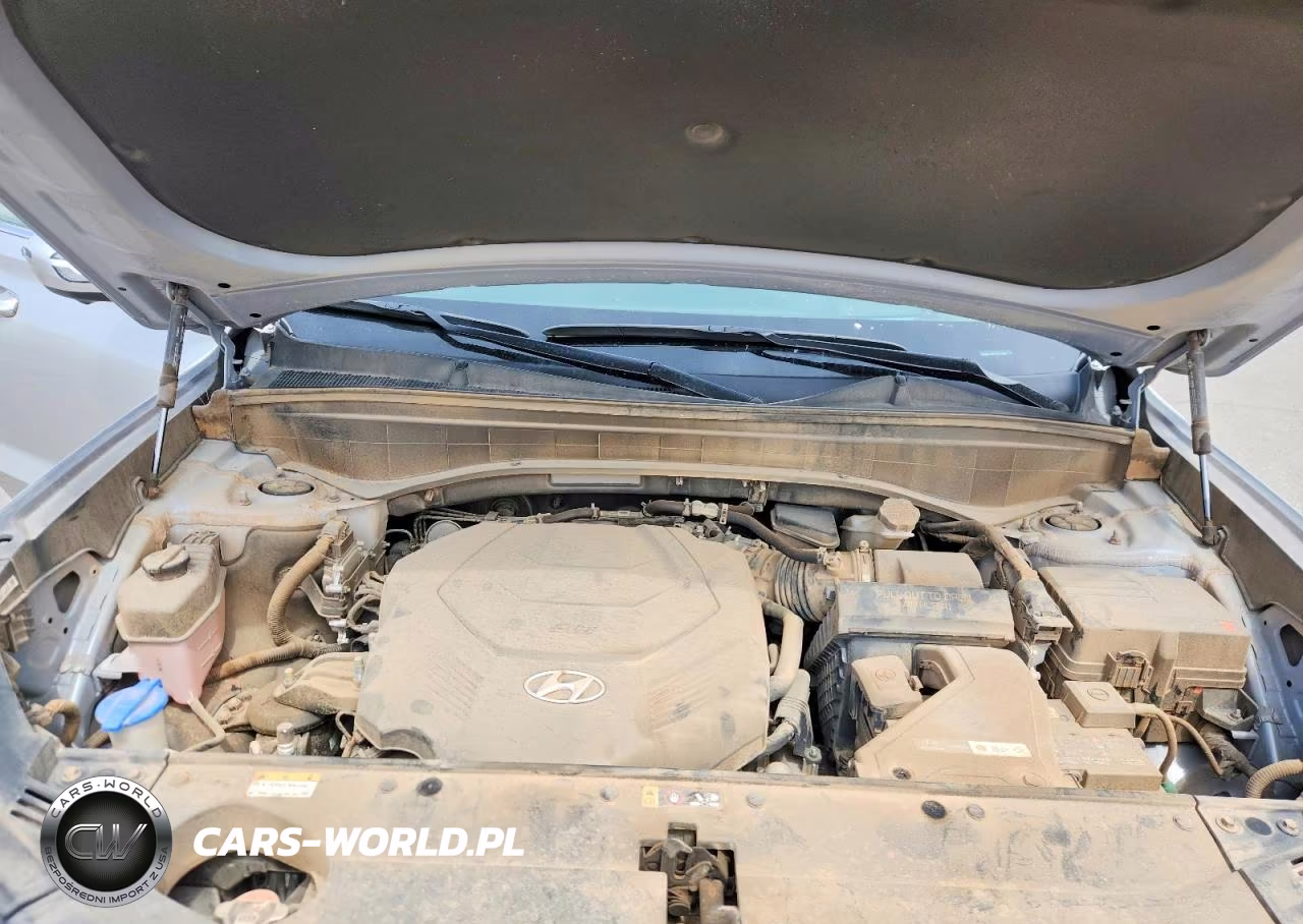 2025 Hyundai Palisade Limited VIN:KM8R5DGE1SU821486 - 12