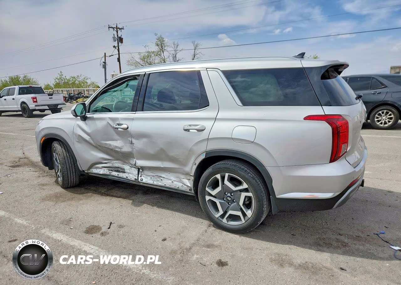 2025 Hyundai Palisade Limited VIN:KM8R5DGE1SU821486 - 2