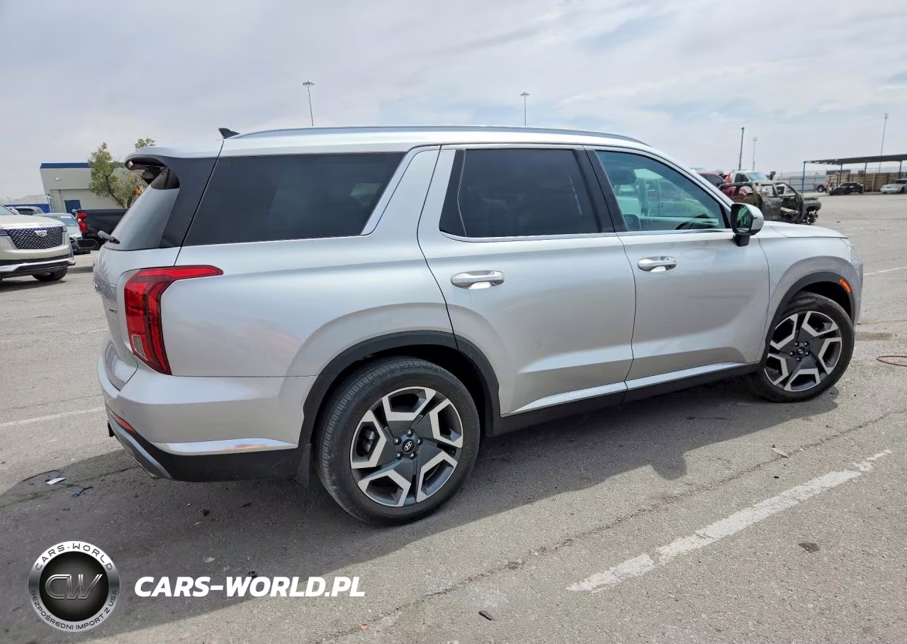 2025 Hyundai Palisade Limited VIN:KM8R5DGE1SU821486 - 3