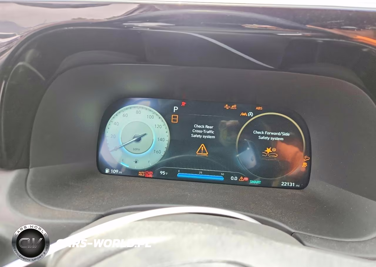 2025 Hyundai Palisade Limited VIN:KM8R5DGE1SU821486 - 9